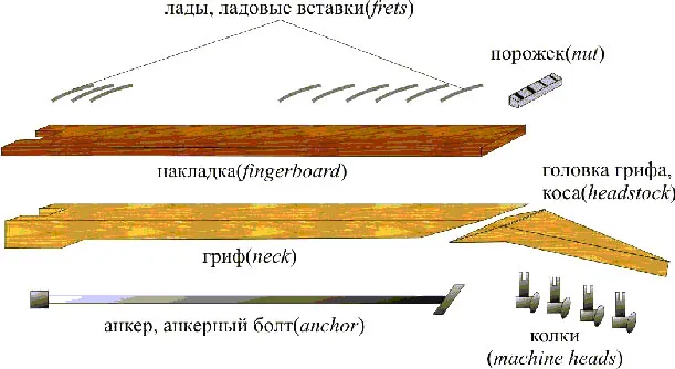 Гриф