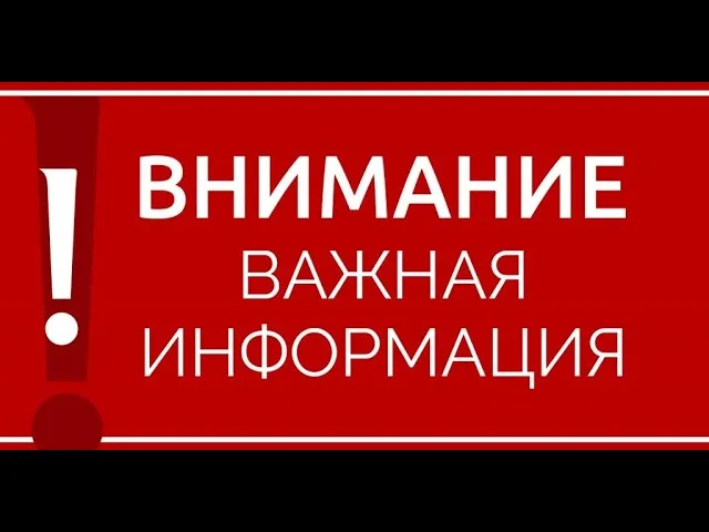 Картофель Гулливер: описание сорта, фото и отзывы