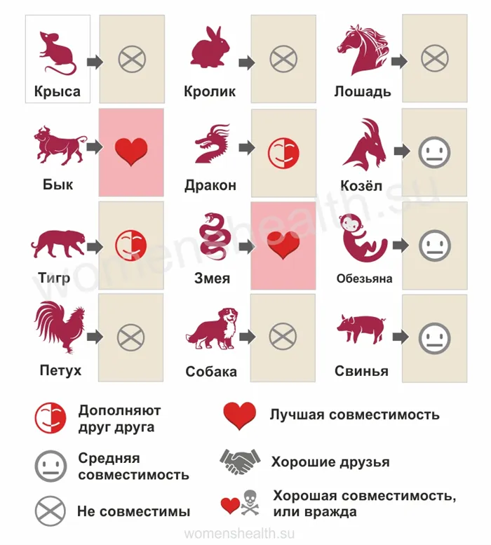 Инфографика: прогноз совместимости и любовных отношений для 2017 года Петуха