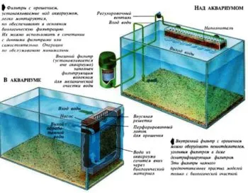 Какие фильтры нужны в аквариуме