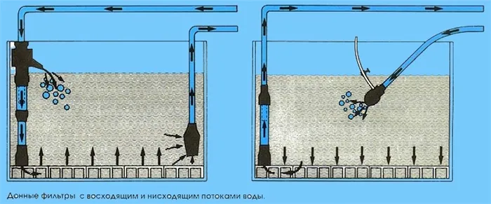 Донный фильтр для аквариума: плюсы и минусы