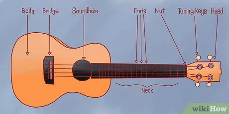 Шаг 2. Ознакомьтесь с тем, как устроено укулеле.