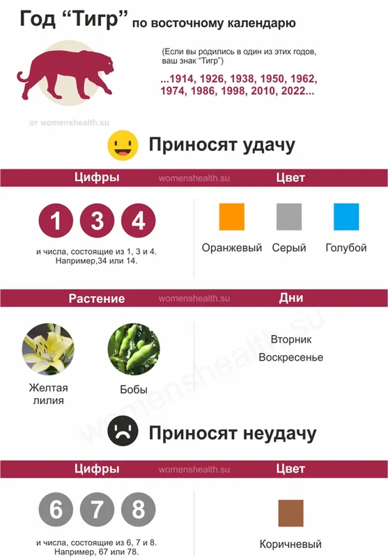 Инфографика: характеристика 1986 года Тигра