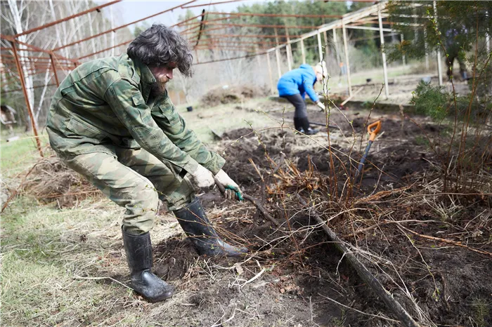 Грядка для посадки желудей