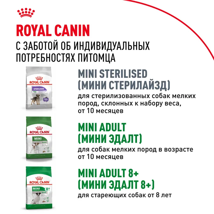 Royal Canin Mini Puppy