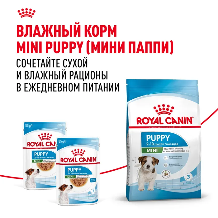 Royal Canin Mini Puppy