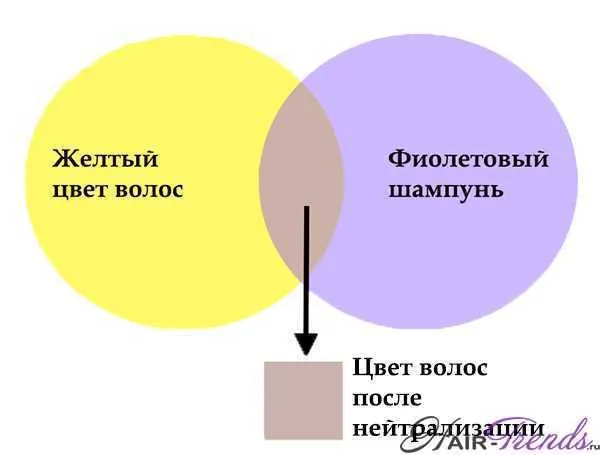 Как работает фиолетовое тонирование на желтых волосах