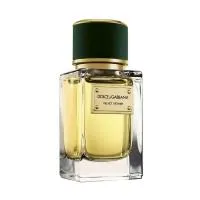 DOLCE & GABBANA Velvet Vetiver