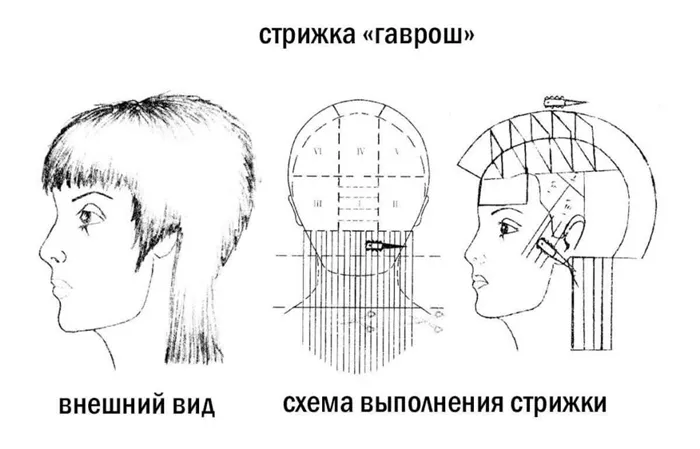 Схема стрижки гаврош