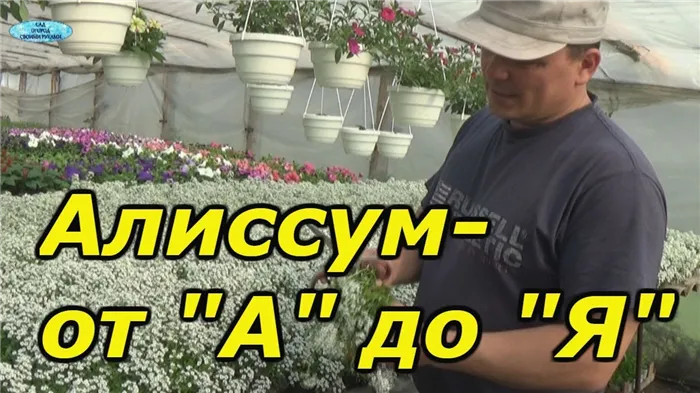 Нажмите, чтобы запустить видео