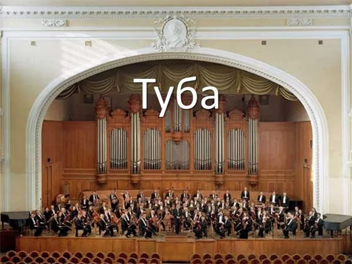  Туба 