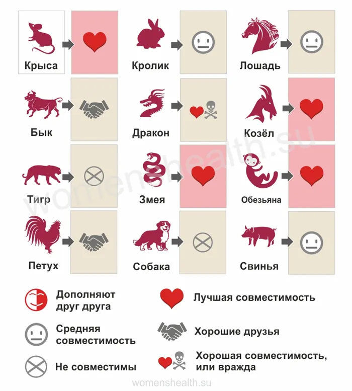 Гороскоп совместимости для 2000 года Дракона