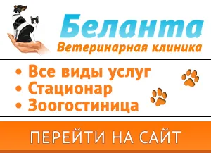 Аквариум для красноухой черепахи: устройство и оборудование