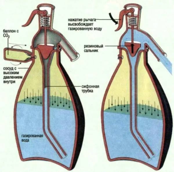 Как выбирать и использовать сифон для газирования воды?