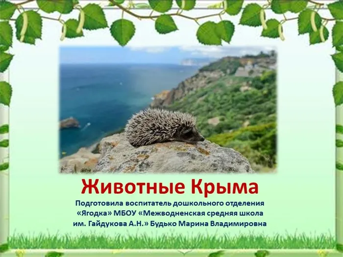 Животные Крыма. Подготовила воспитатель дошкольного отделения Ягодка МБОУ Ме. 