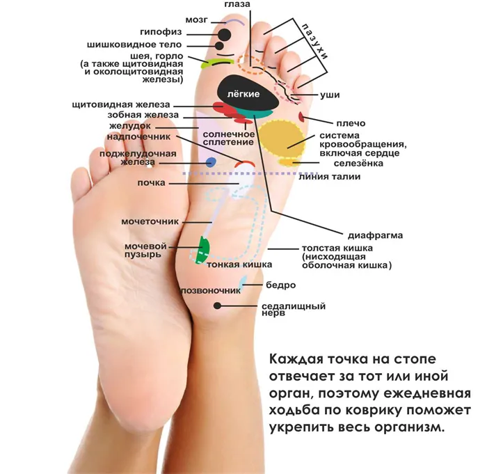 Массажный ортопедический коврик для ног: как пользоваться в домашних условиях