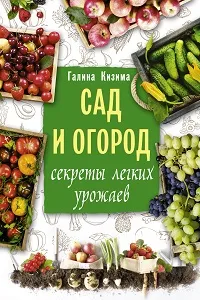 У винограда сложная структура, со множеством отростков, у каждого из которых свое назначение