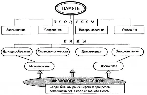 Индивидуальные особенности