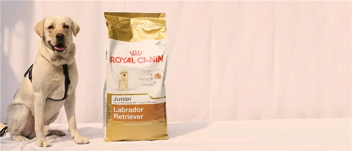 Royal Canin для лабрадоров