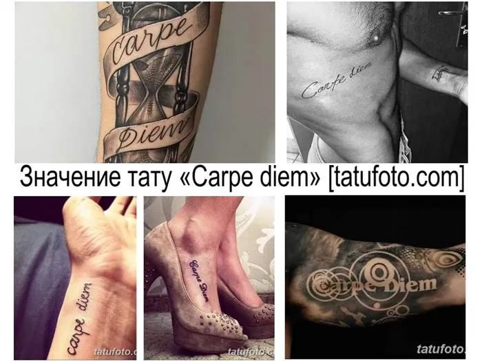 фото рисунка тату надписи Carpe diem 16.11.2018 №001 - tattoo carpe diem - tatufoto.com